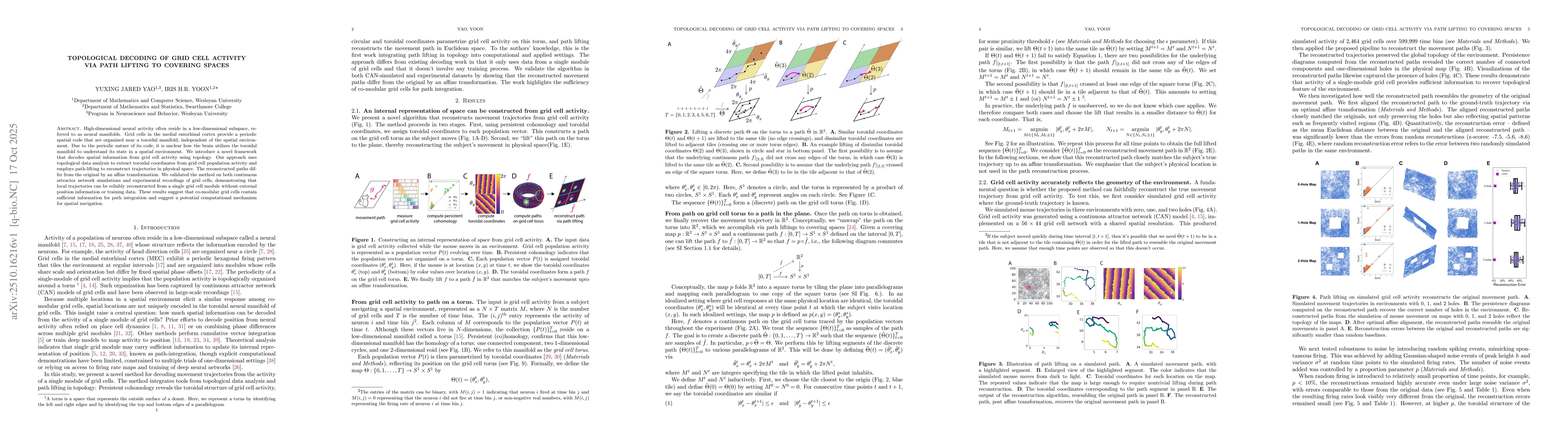 Thumbnail for Topological decoding of grid cell activity via path lifting to covering
  spaces