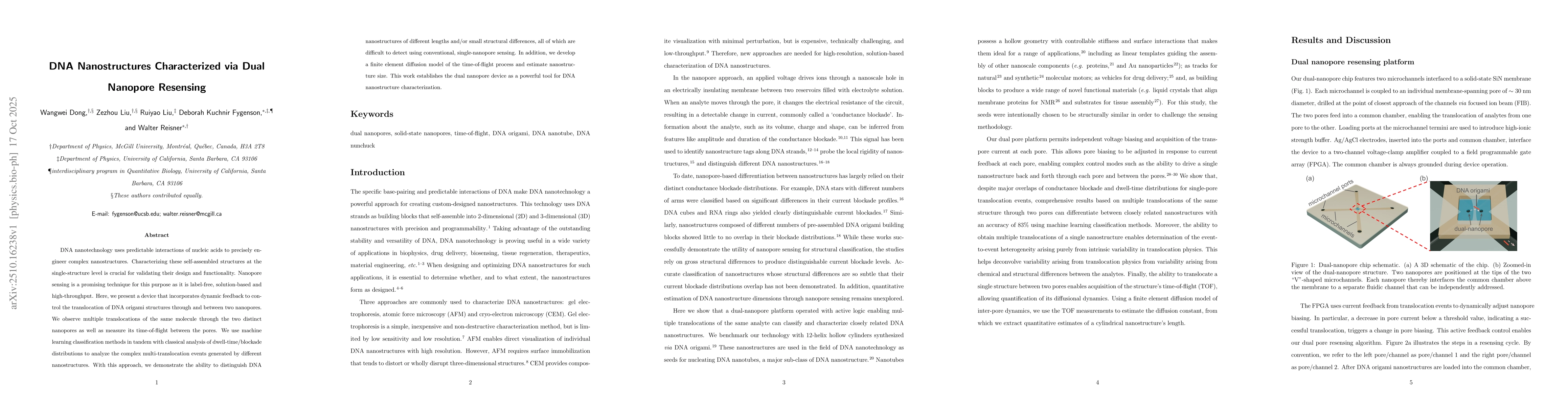 Thumbnail for DNA Nanostructures Characterized via Dual Nanopore Resensing