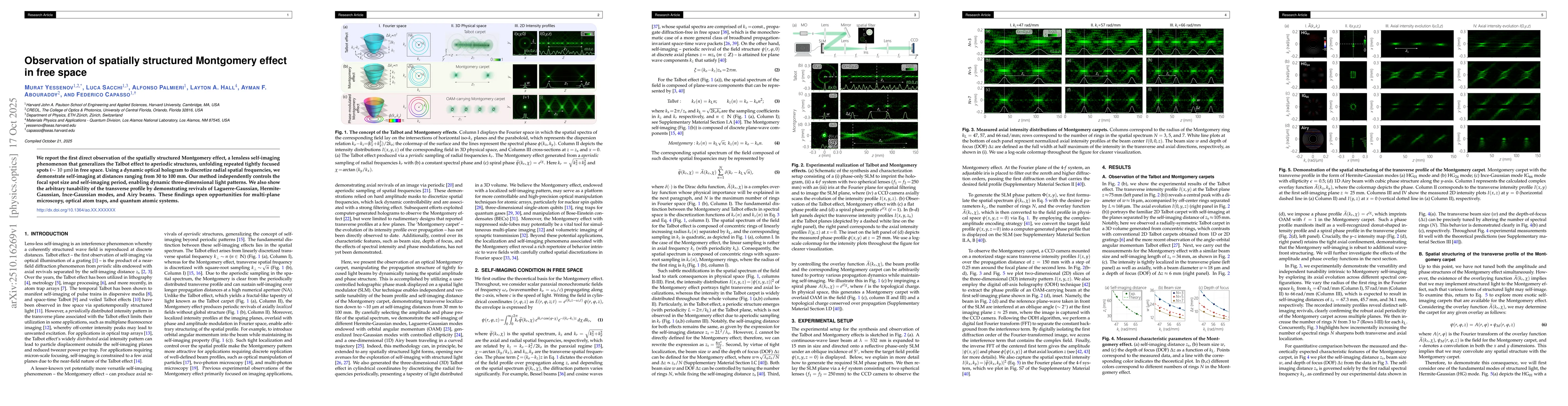 Thumbnail for Observation of spatially structured Montgomery effect in free space