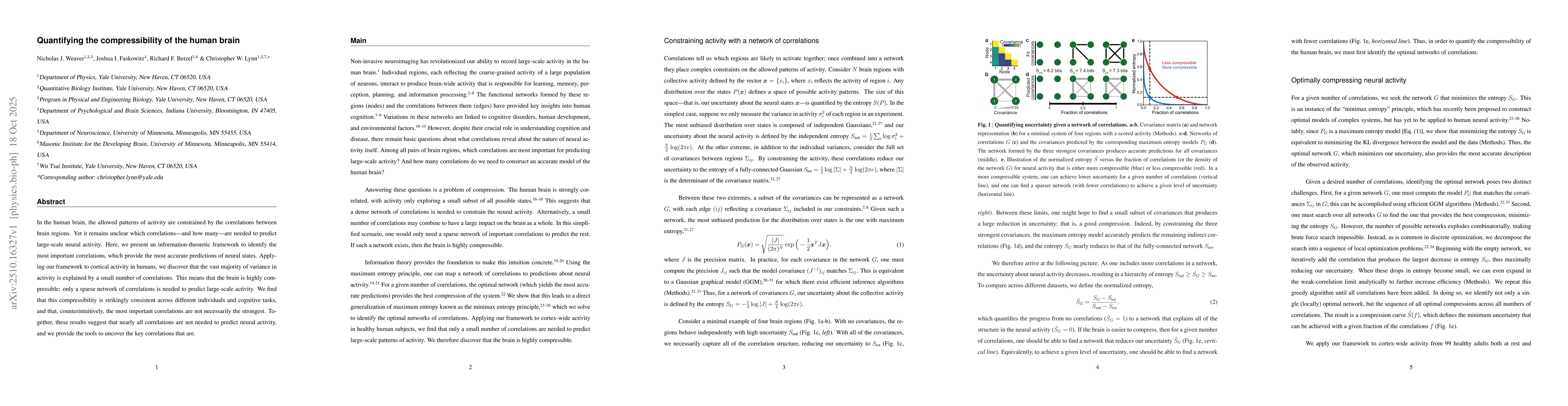 Thumbnail for Quantifying the compressibility of the human brain