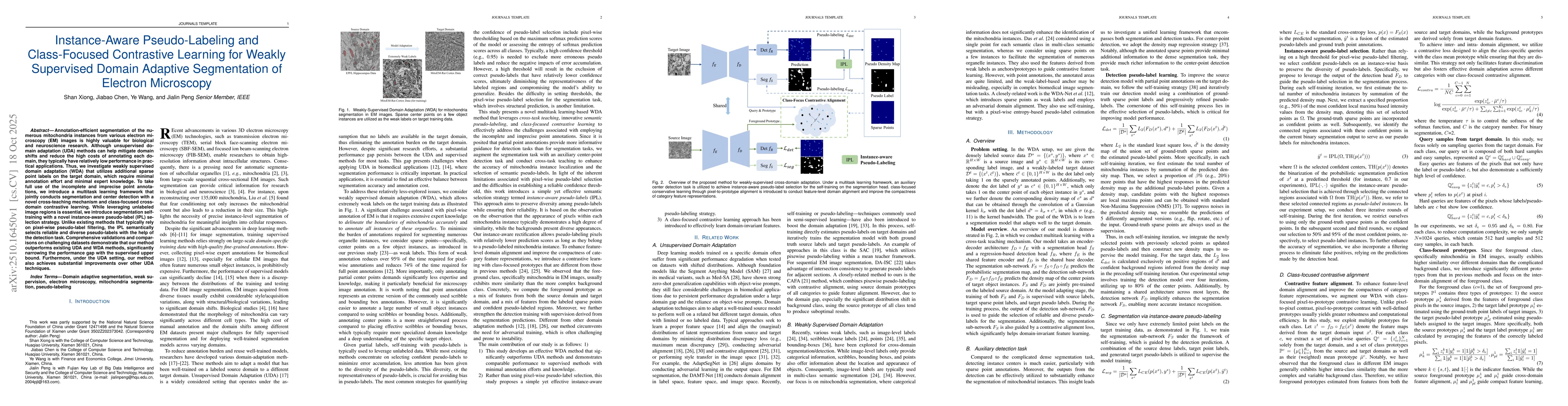 Thumbnail for Instance-Aware Pseudo-Labeling and Class-Focused Contrastive Learning
  for Weakly Supervised Domain Adaptive Segmentation of Electron Microscopy