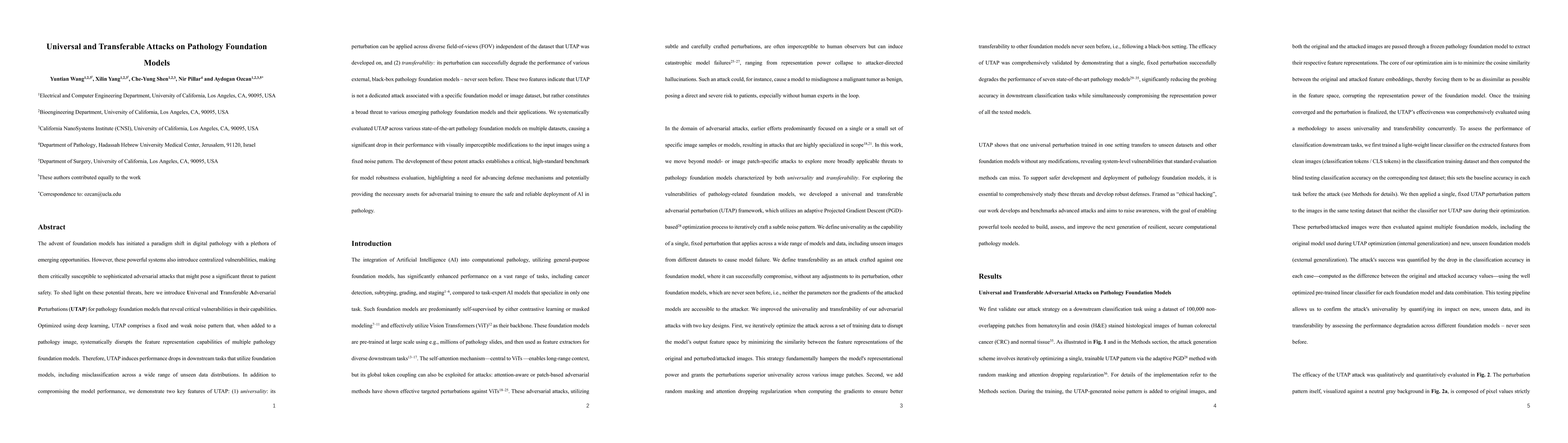 Thumbnail for Universal and Transferable Attacks on Pathology Foundation Models
