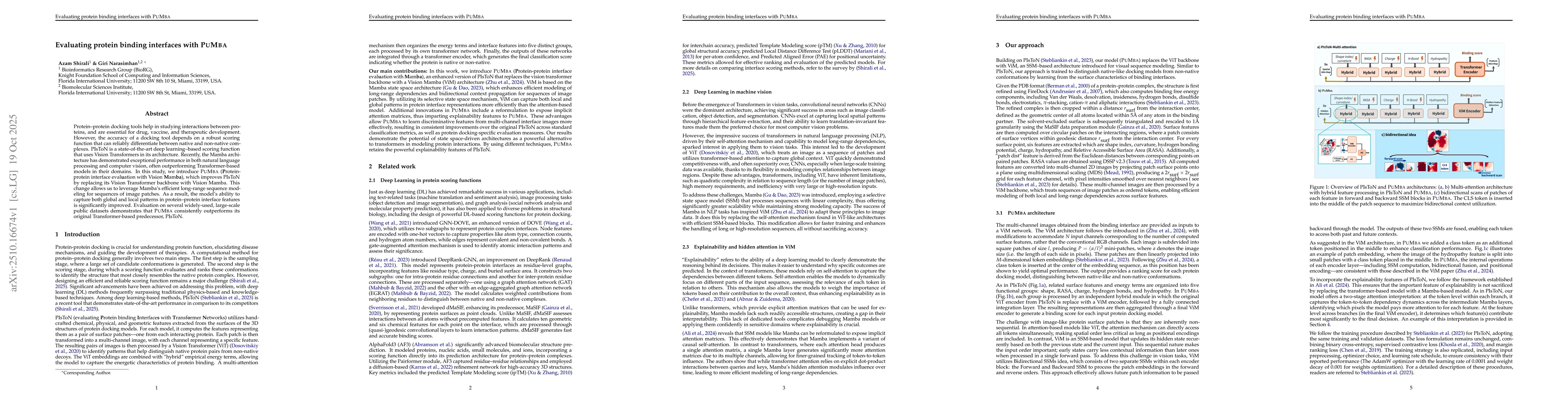 Thumbnail for Evaluating protein binding interfaces with PUMBA