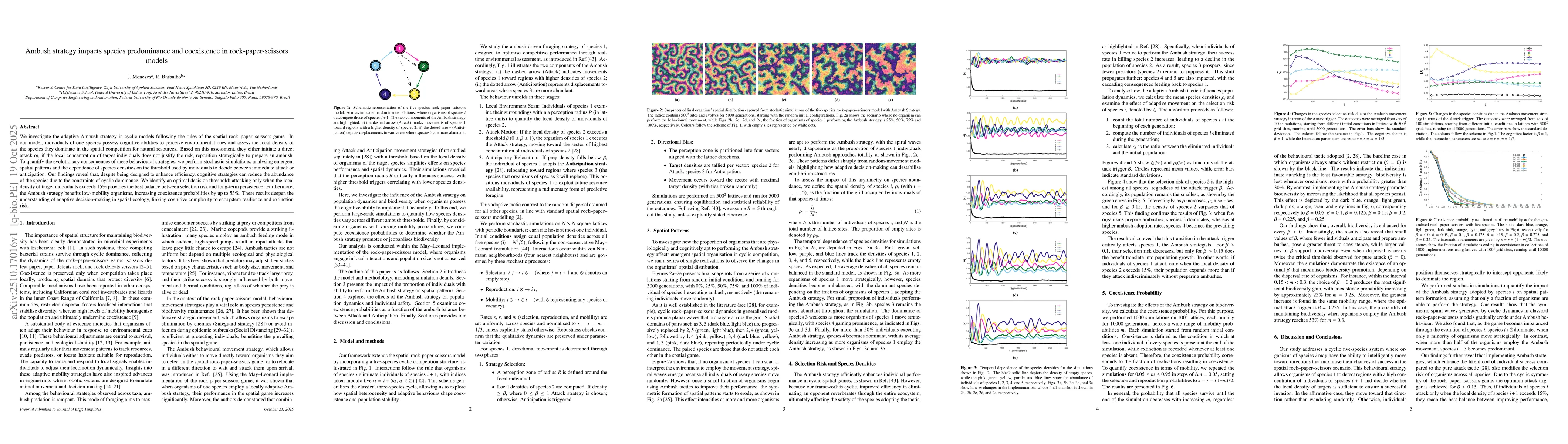 Thumbnail for Ambush strategy impacts species predominance and coexistence in
  rock-paper-scissors models