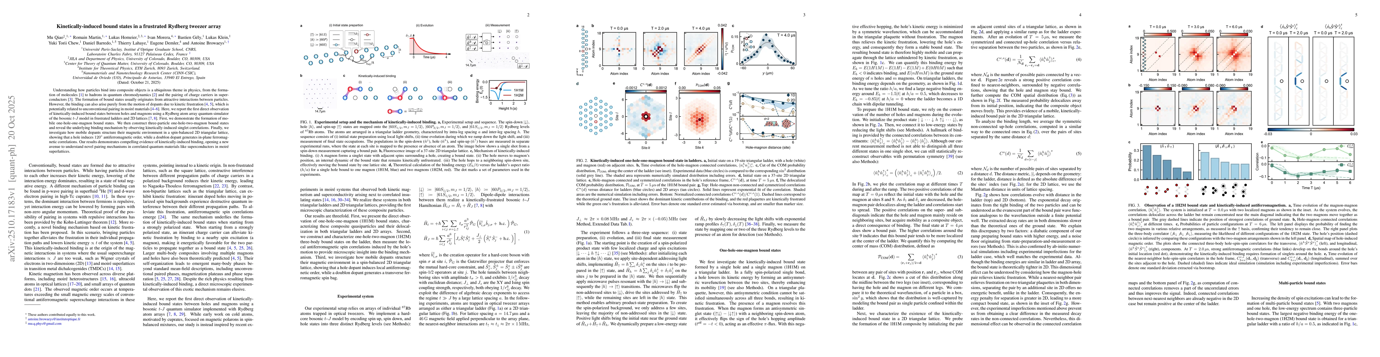 Thumbnail for Kinetically-induced bound states in a frustrated Rydberg tweezer array