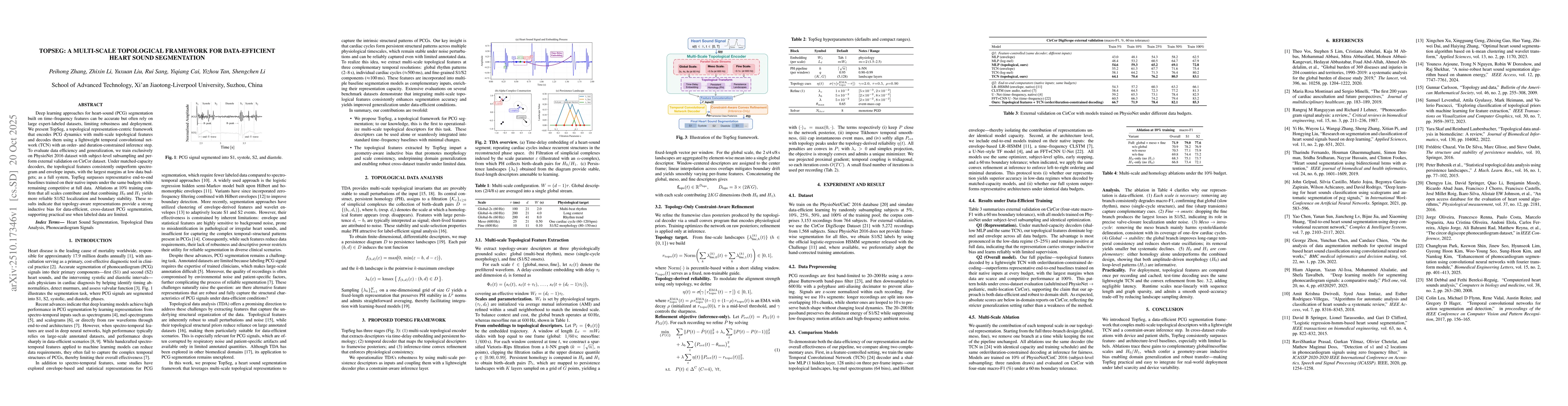 Thumbnail for TopSeg: A Multi-Scale Topological Framework for Data-Efficient Heart
  Sound Segmentation