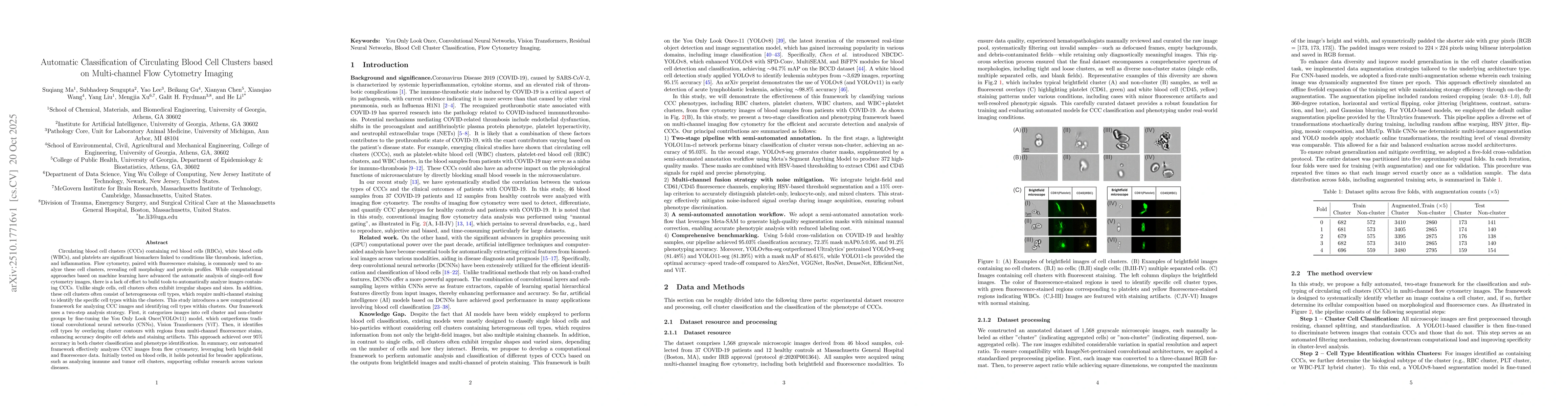 Thumbnail for Automatic Classification of Circulating Blood Cell Clusters based on
  Multi-channel Flow Cytometry Imaging