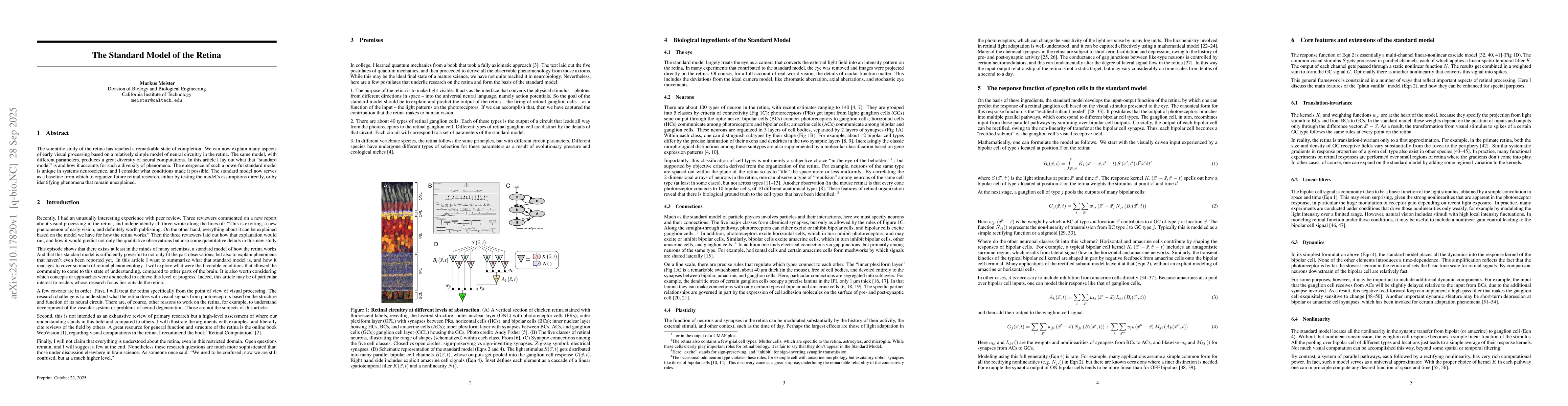 Thumbnail for The Standard Model of the Retina