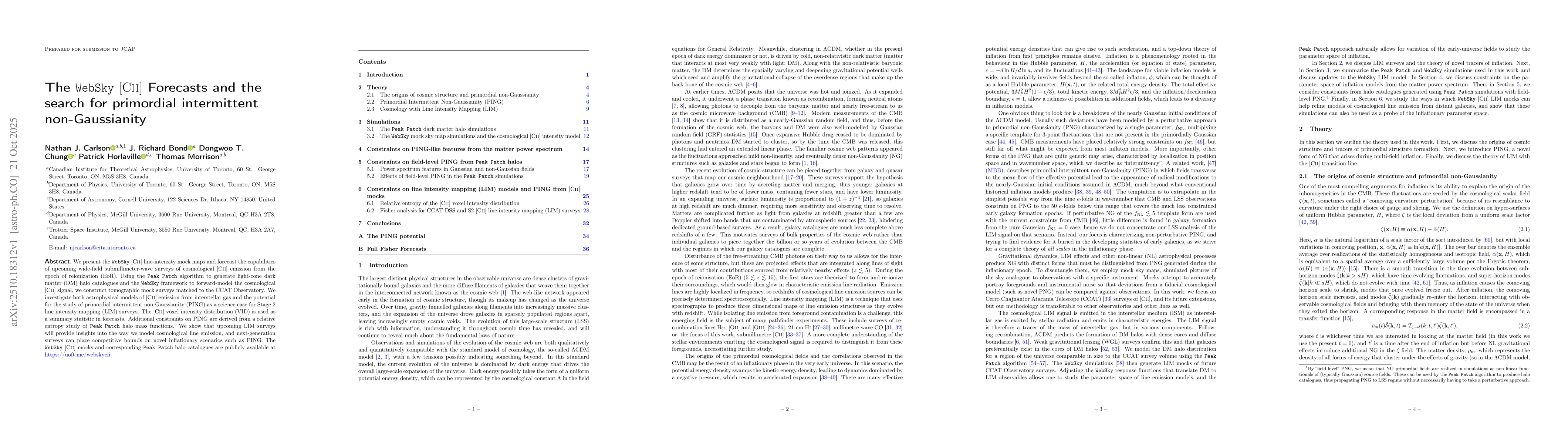 Thumbnail for The $\mathtt{WebSky}$ $\mathrm{[CII]}$ Forecasts and the search for
  primordial intermittent non-Gaussianity