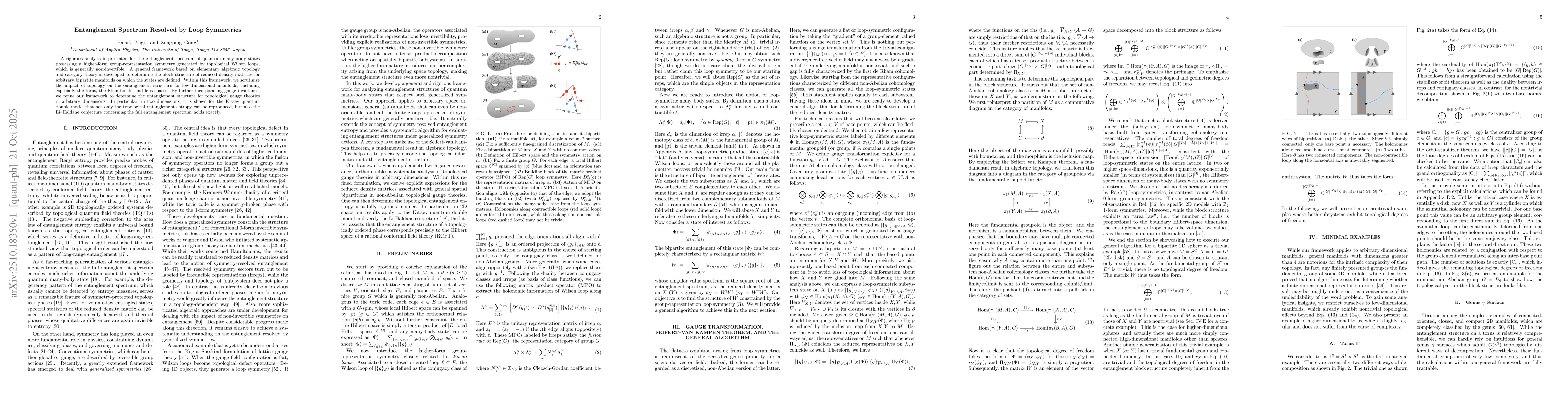Thumbnail for Entanglement Spectrum Resolved by Loop Symmetries