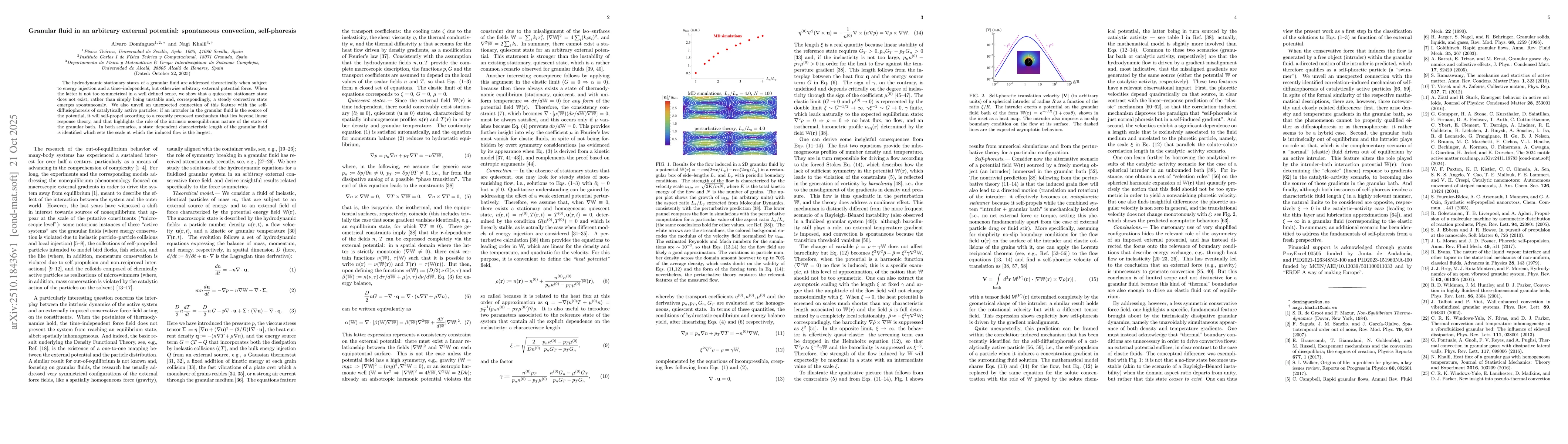 Thumbnail for Granular fluid in an arbitrary external potential: spontaneous
  convection, self-phoresis