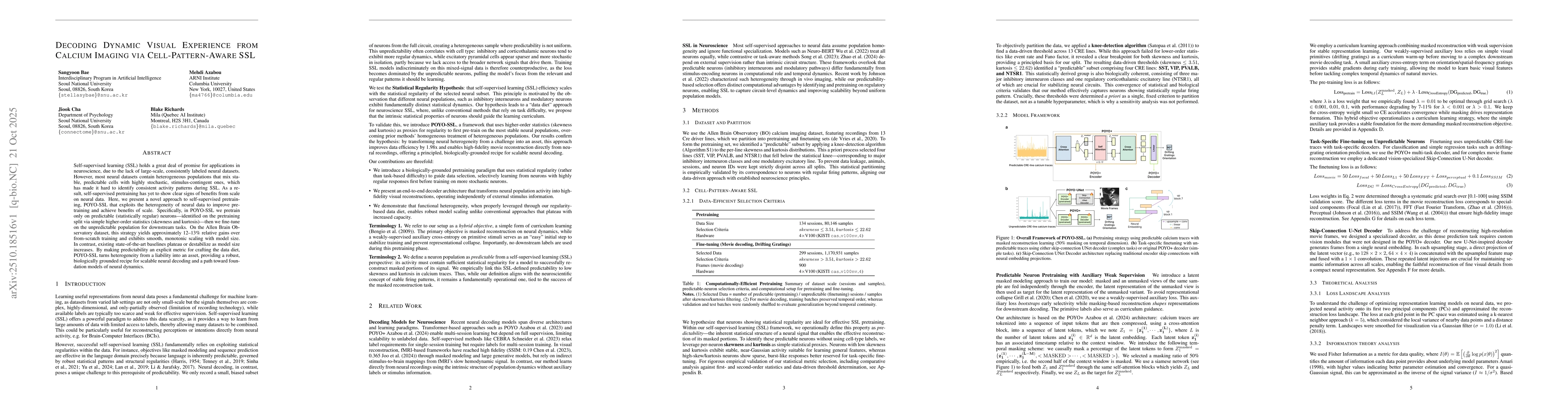 Thumbnail for Decoding Dynamic Visual Experience from Calcium Imaging via
  Cell-Pattern-Aware SSL