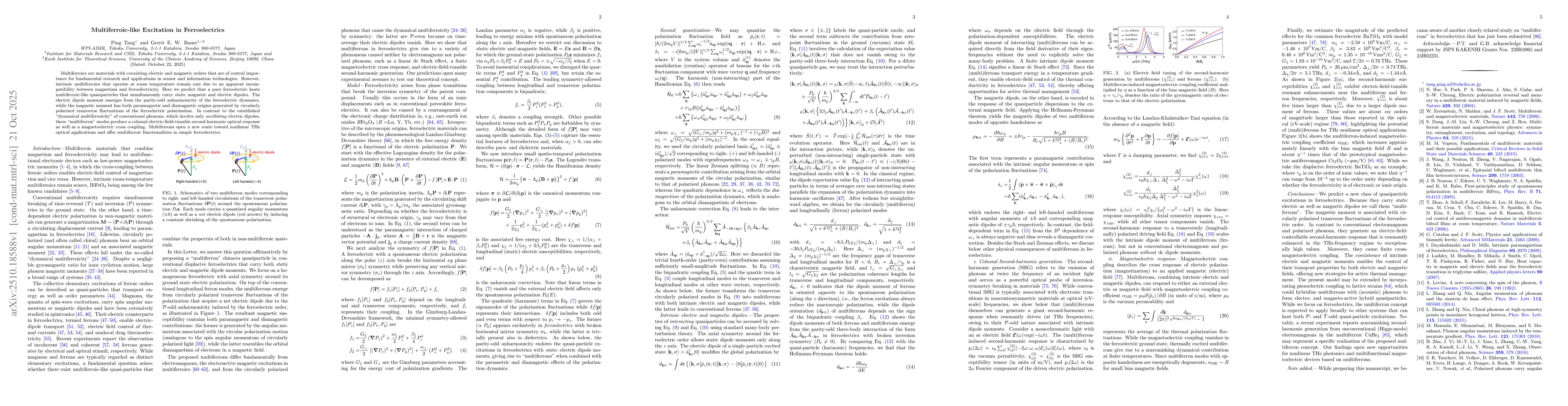 Thumbnail for Multiferroic-like Excitation in Ferroelectrics