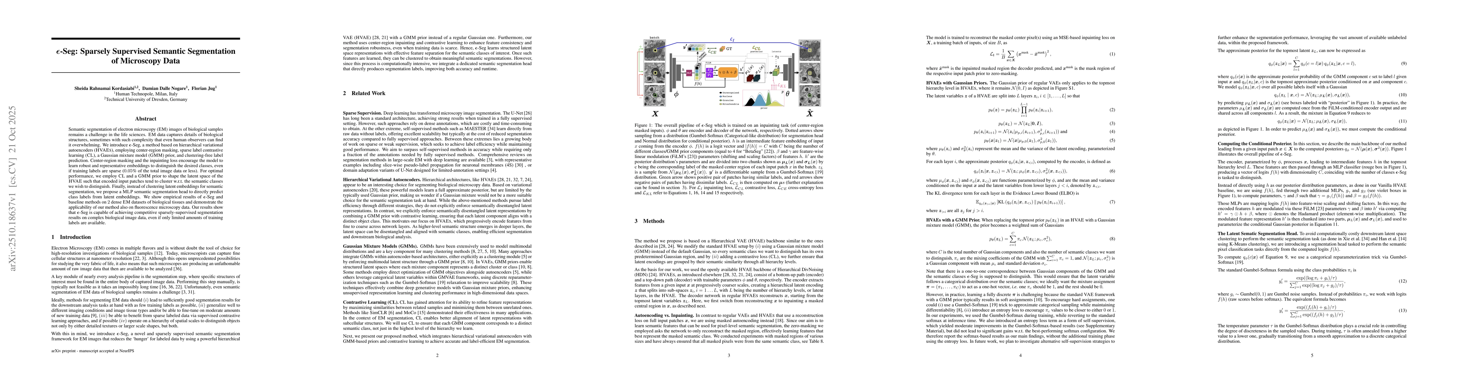 Thumbnail for ε-Seg: Sparsely Supervised Semantic Segmentation of Microscopy
  Data