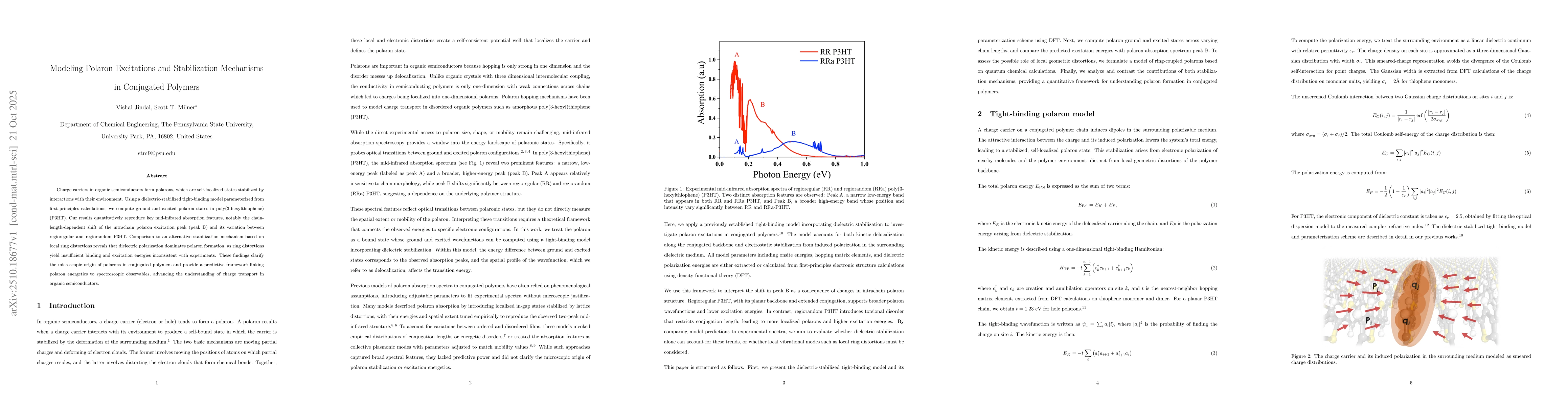 Thumbnail for Modeling Polaron Excitations and Stabilization Mechanisms in Conjugated
  Polymers