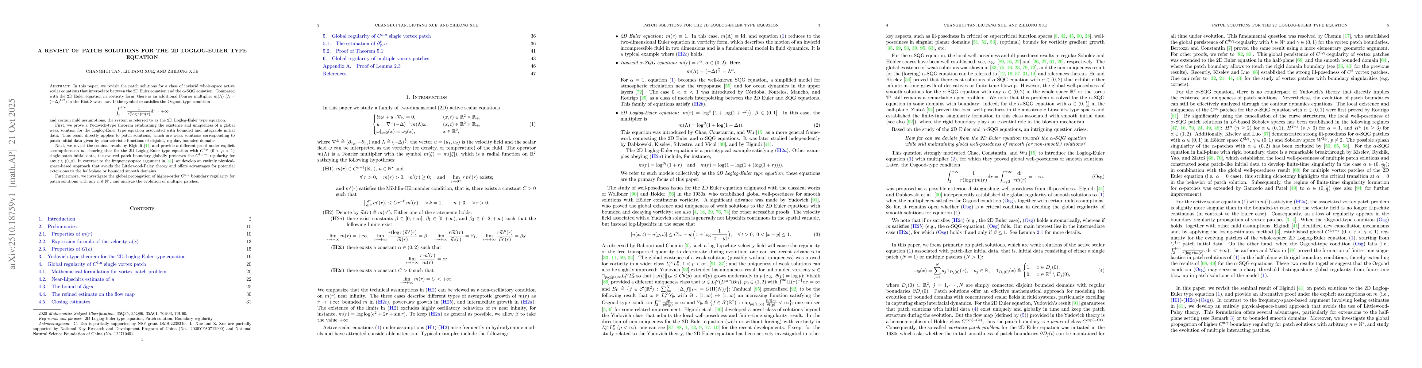 Thumbnail for A revisit of patch solutions for the 2D Loglog-Euler type equation