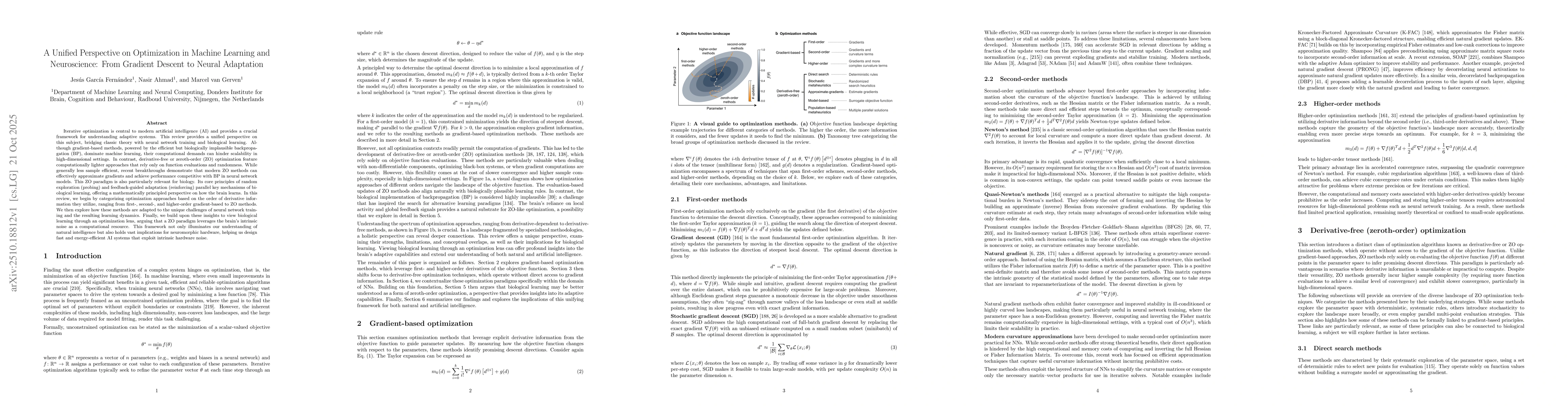 Thumbnail for A Unified Perspective on Optimization in Machine Learning and
  Neuroscience: From Gradient Descent to Neural Adaptation