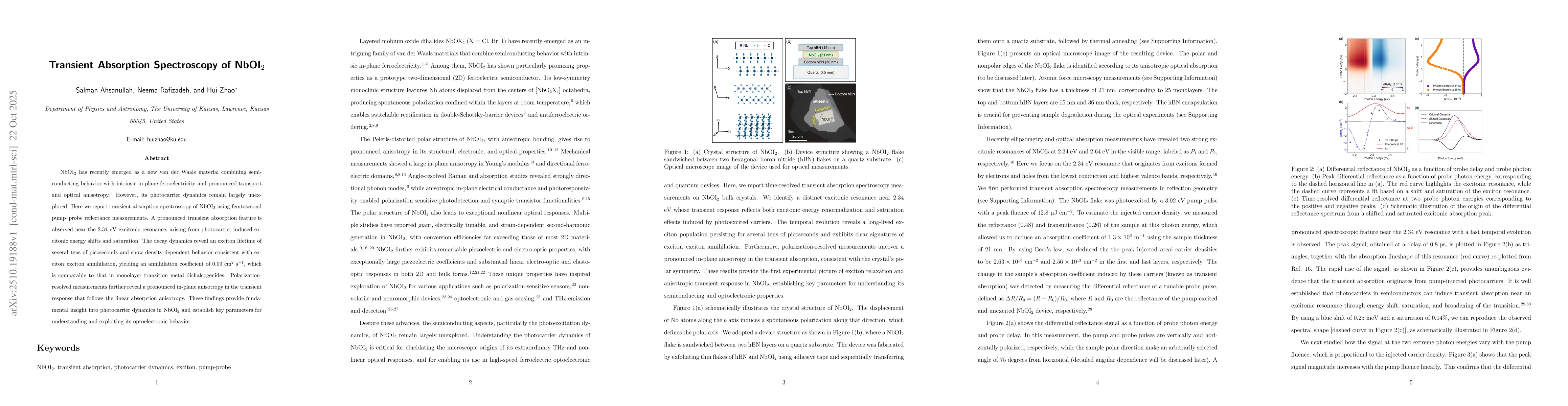 Thumbnail for Transient Absorption Spectroscopy of NbOI$_2$