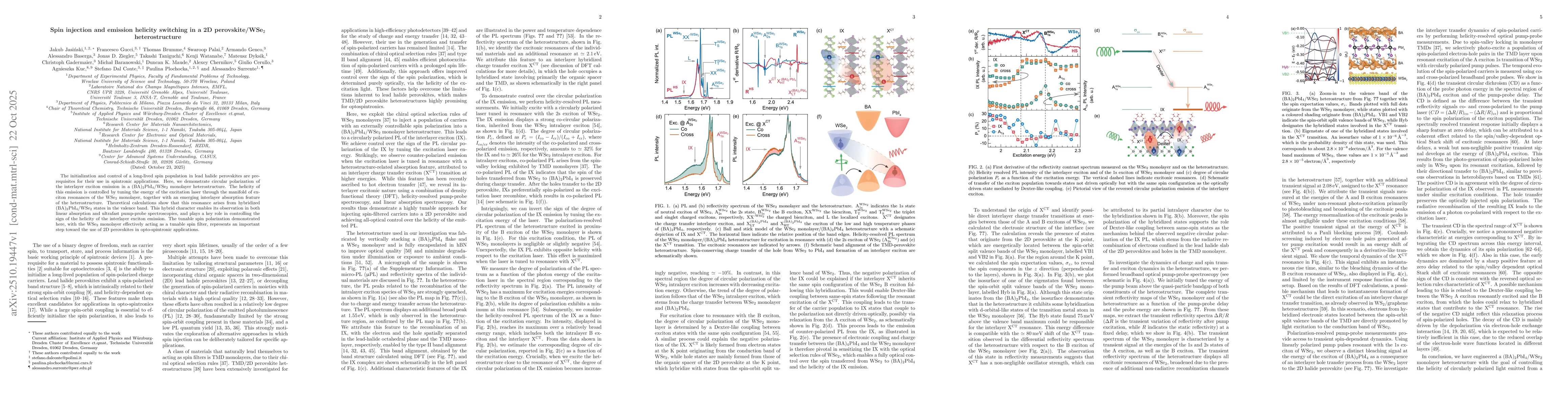 Thumbnail for Spin injection and emission helicity switching in a 2D perovskite/WSe2
  heterostructure