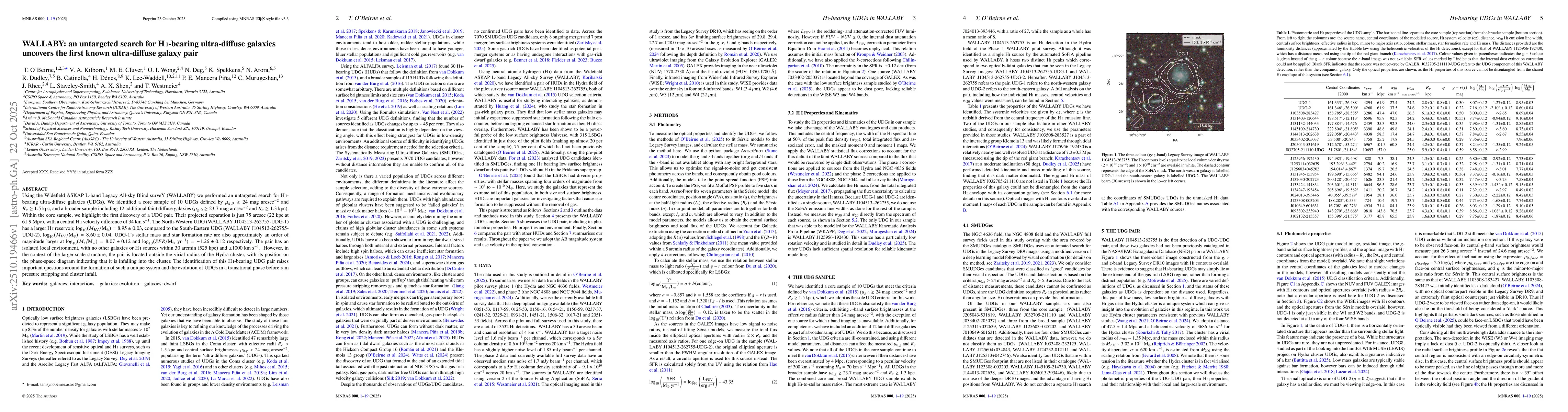 Thumbnail for WALLABY: an untargeted search for H I-bearing ultra-diffuse galaxies
  uncovers the first known ultra-diffuse galaxy pair