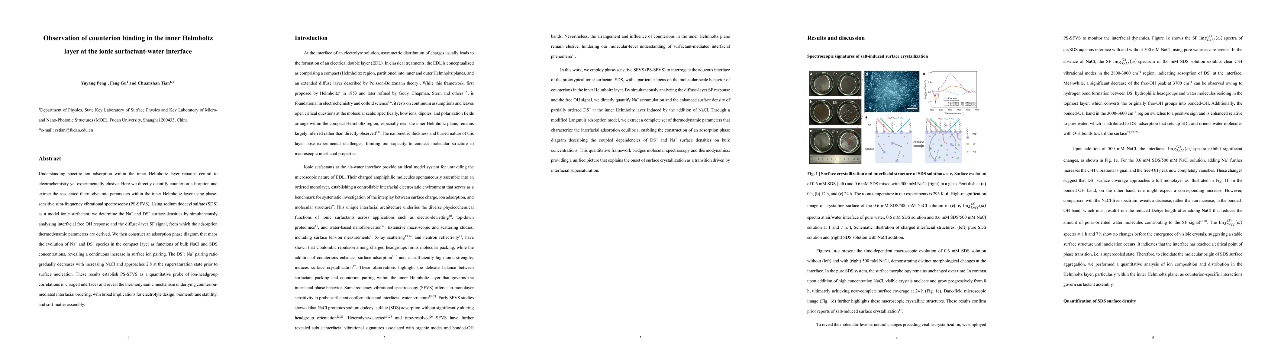 Thumbnail for Observation of counterion binding in the inner Helmholtz layer at the
  ionic surfactant-water interface