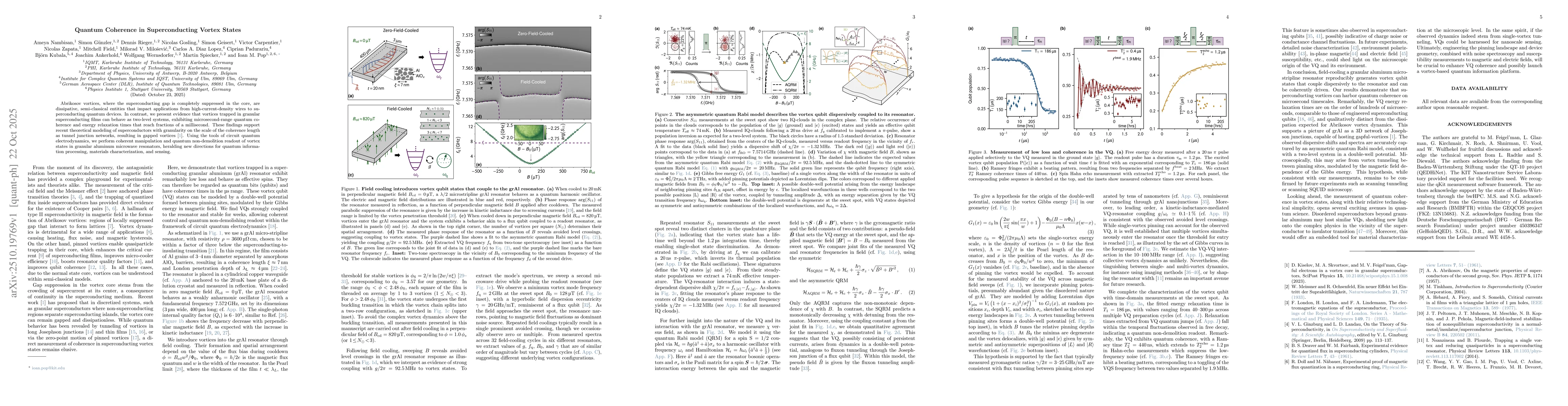 Thumbnail for Quantum Coherence in Superconducting Vortex States