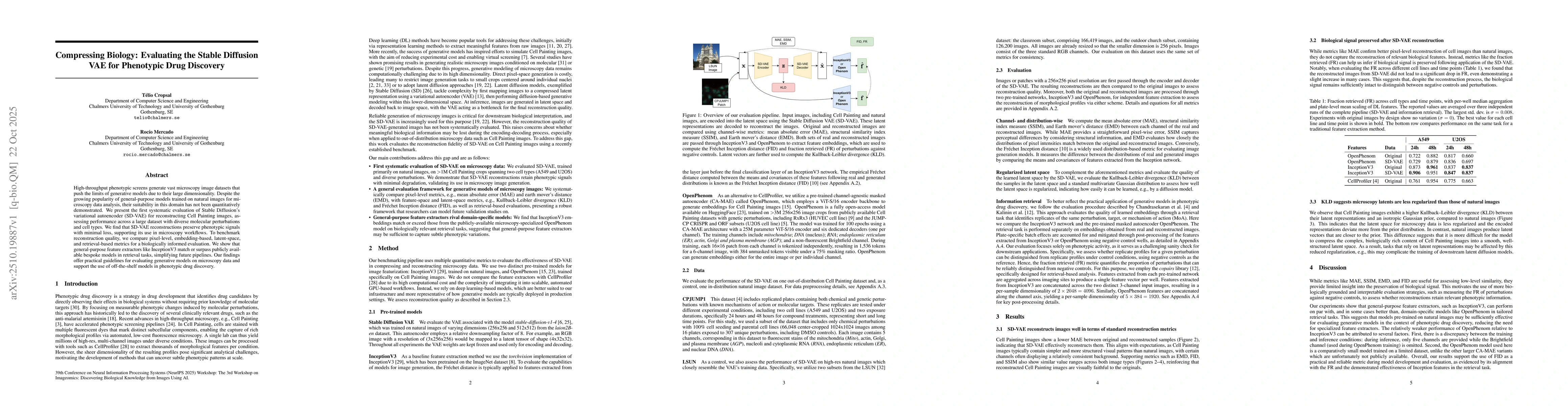 Thumbnail for Compressing Biology: Evaluating the Stable Diffusion VAE for Phenotypic
  Drug Discovery
