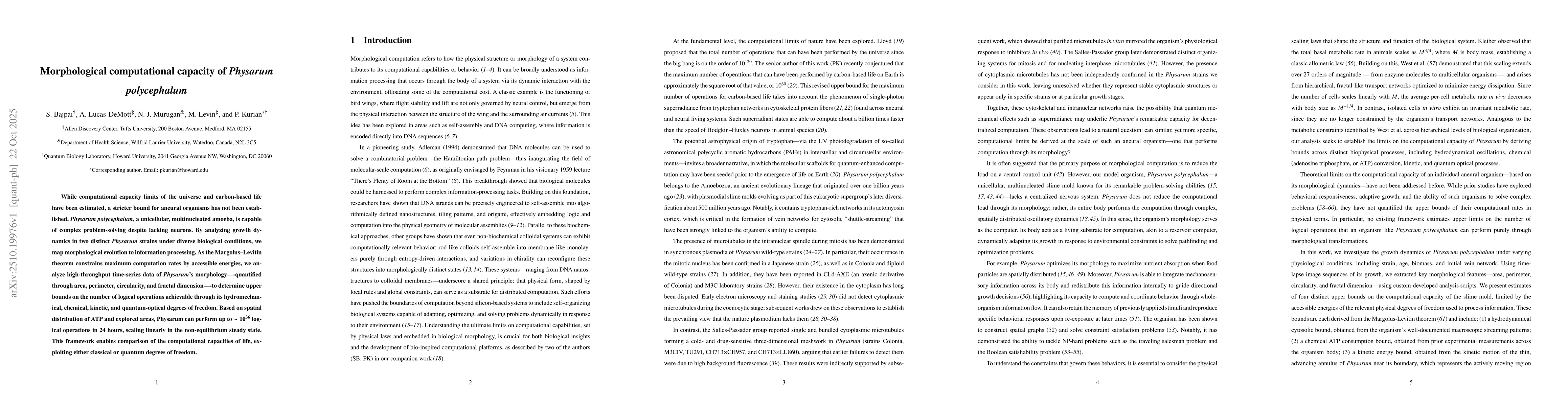 Thumbnail for Morphological computational capacity of Physarum polycephalum