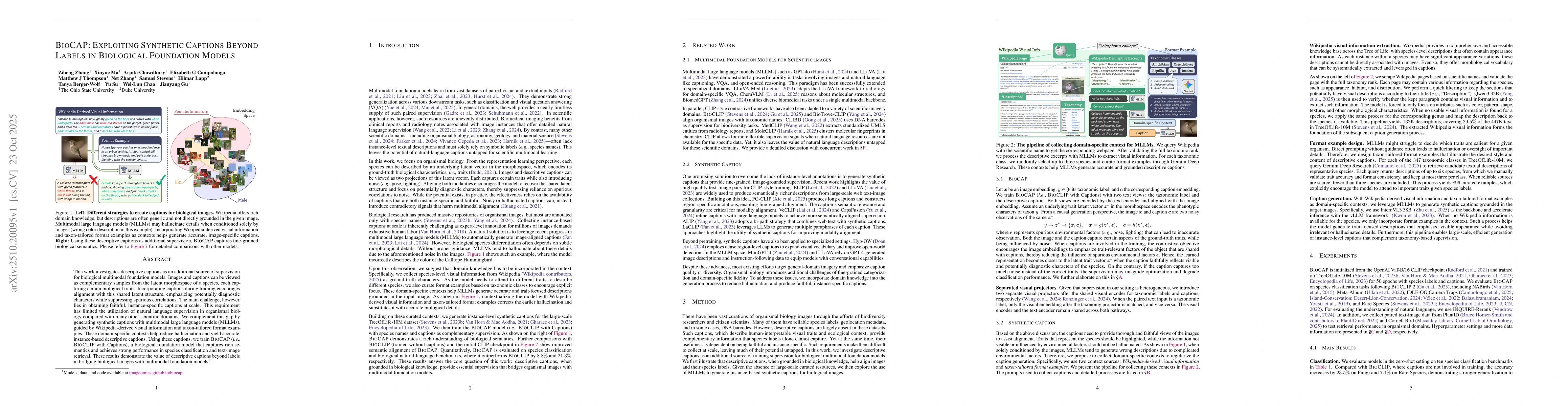 Thumbnail for BIOCAP: Exploiting Synthetic Captions Beyond Labels in Biological
  Foundation Models