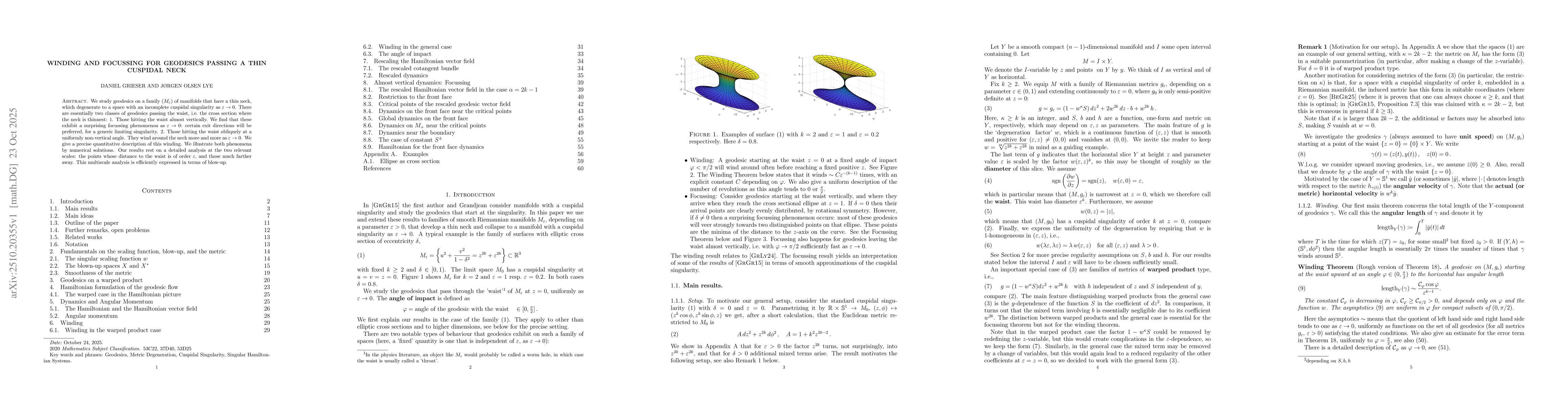 Thumbnail for Winding and focussing for geodesics passing a thin cuspidal neck