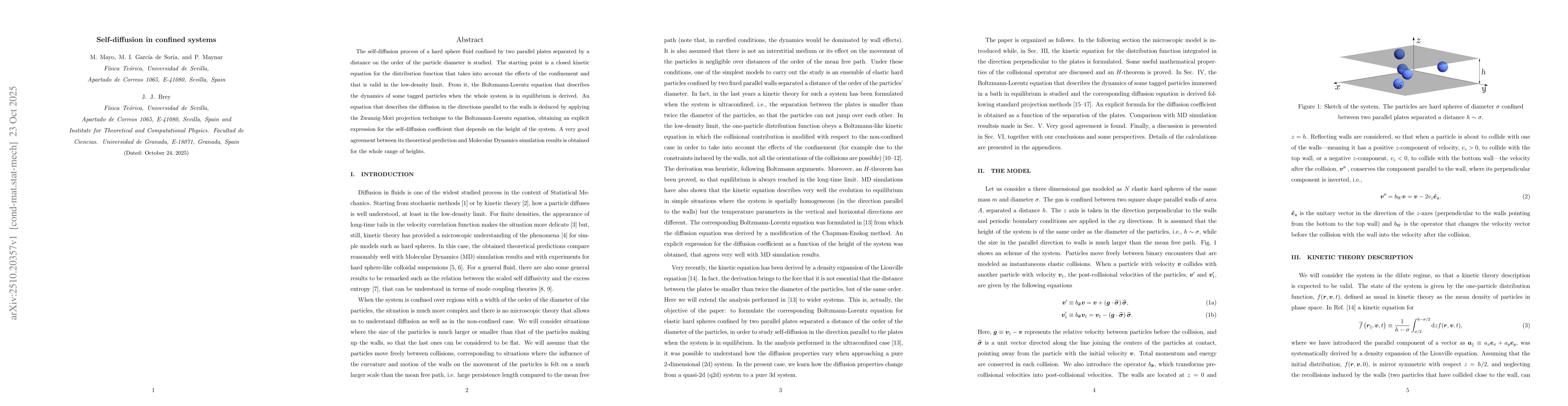 Thumbnail for Self-diffusion in confined systems