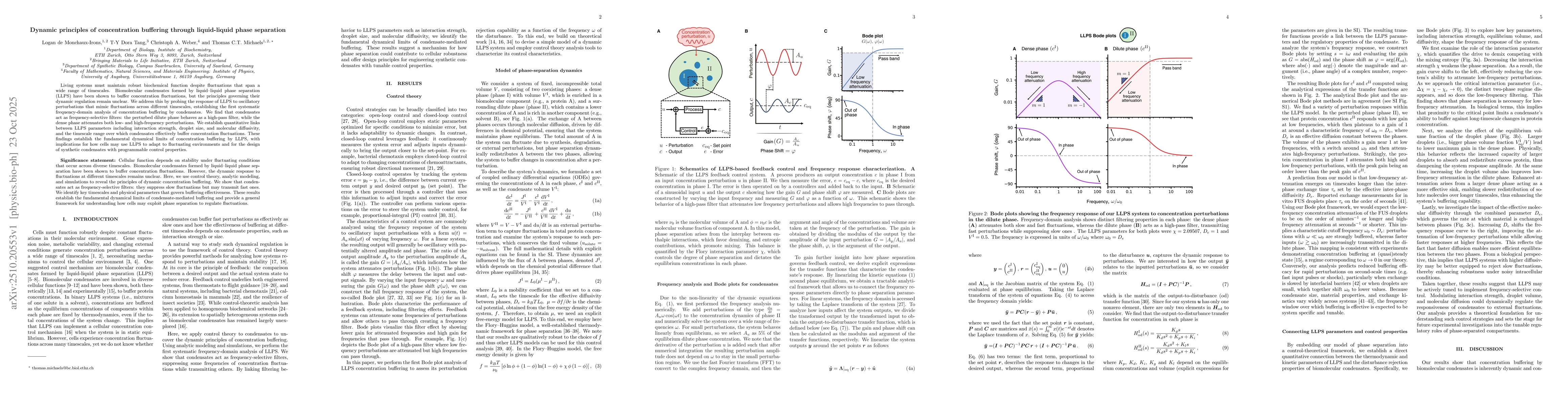 Thumbnail for Dynamic principles of concentration buffering through liquid-liquid
  phase separation
