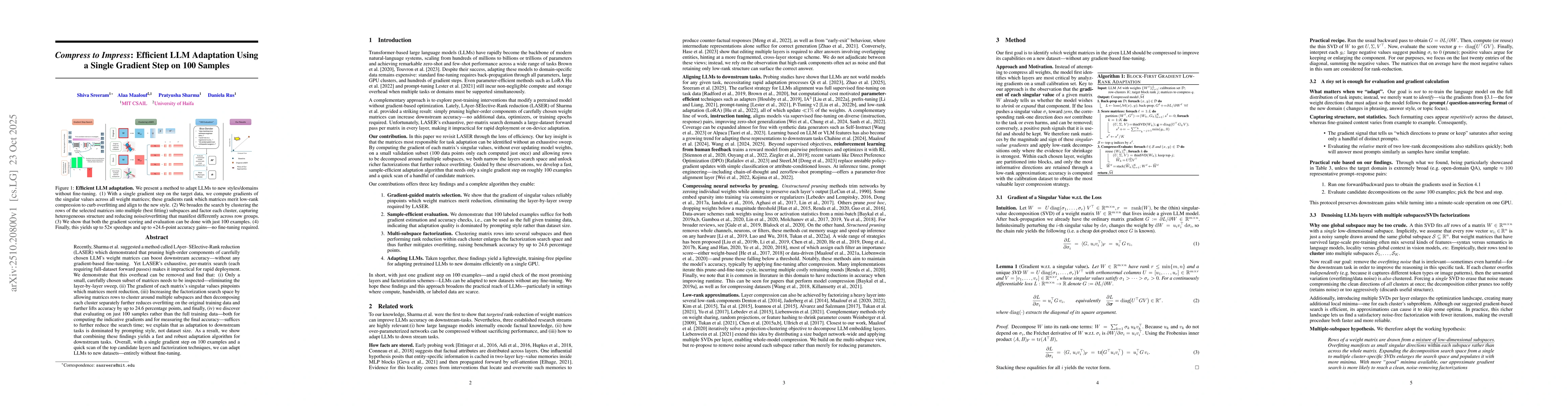 Thumbnail for Compress to Impress: Efficient LLM Adaptation Using a Single Gradient
  Step on 100 Samples