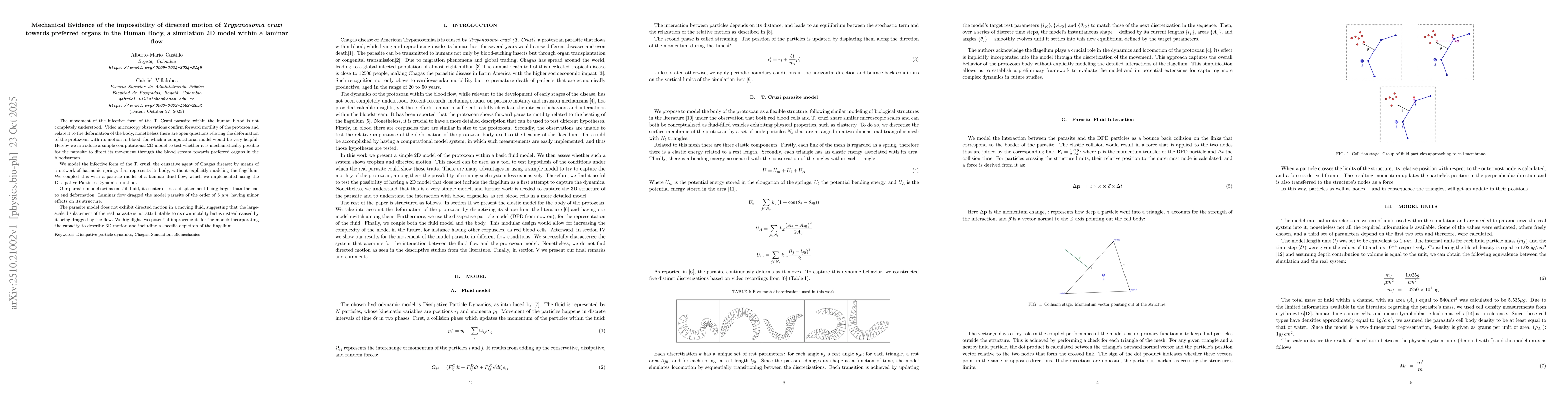 Thumbnail for Mechanical Evidence of the impossibility of directed motion of
  Trypanosoma cruzi towards preferred organs in the Human Body, a simulation 2D
  model within a laminar flow