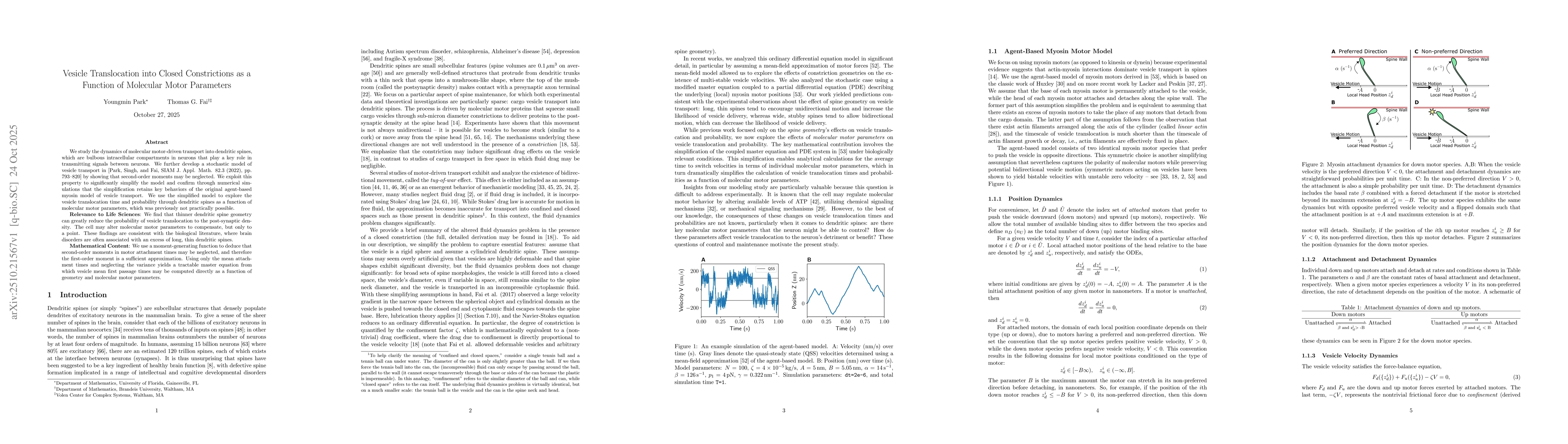 Thumbnail for Vesicle Translocation into Closed Constrictions as a Function of
  Molecular Motor Parameters