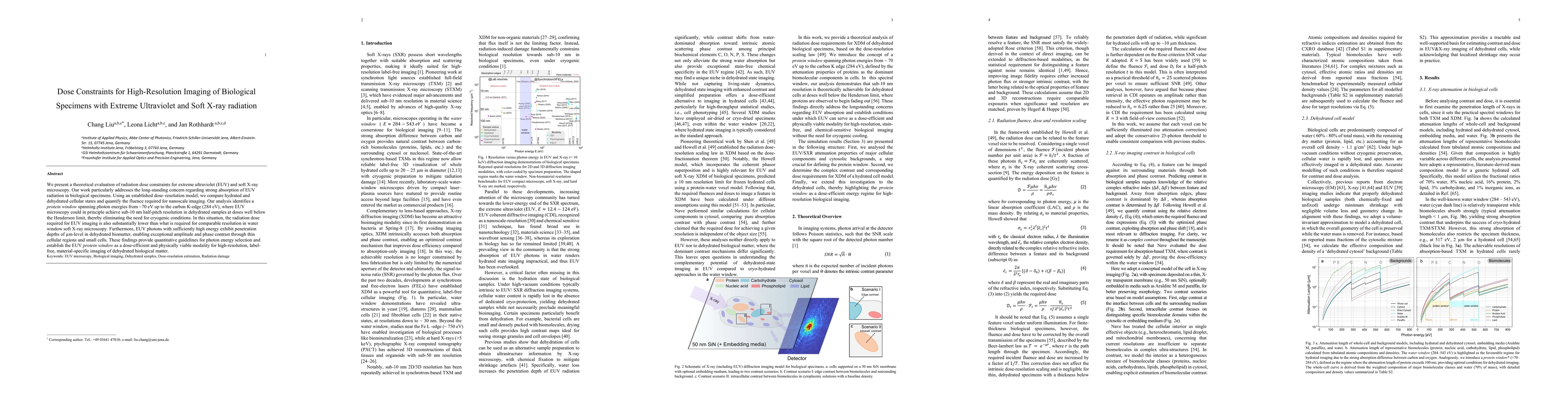 Thumbnail for Dose Constraints for High-Resolution Imaging of Biological Specimens
  with Extreme Ultraviolet and Soft X-ray radiation