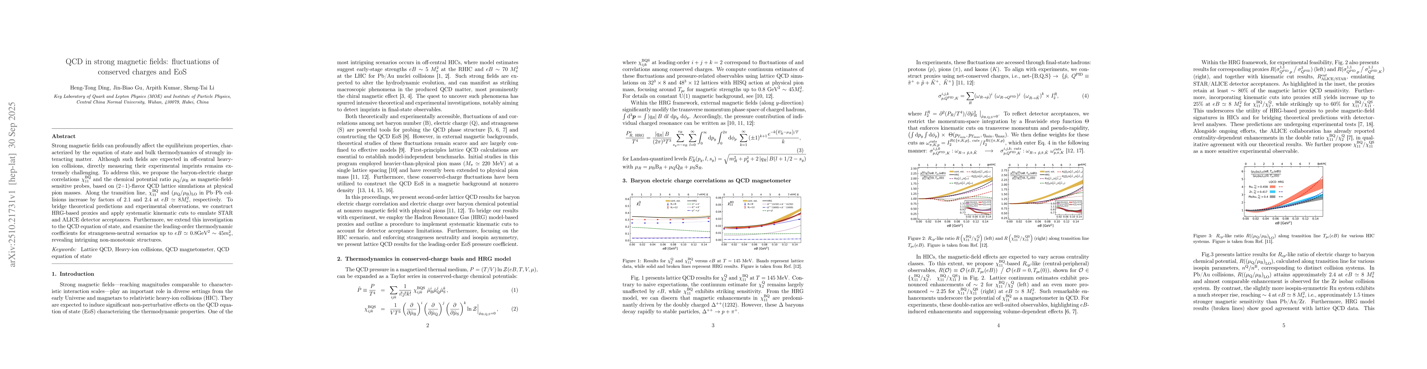 Thumbnail for QCD in strong magnetic fields: fluctuations of conserved charges and EoS