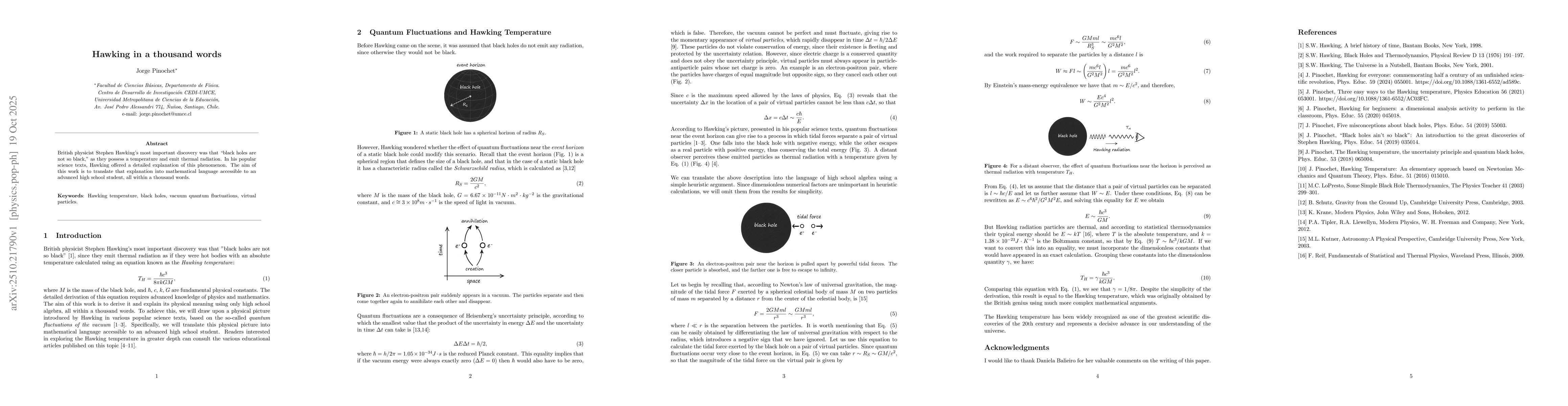 Thumbnail for Hawking in a thousand words