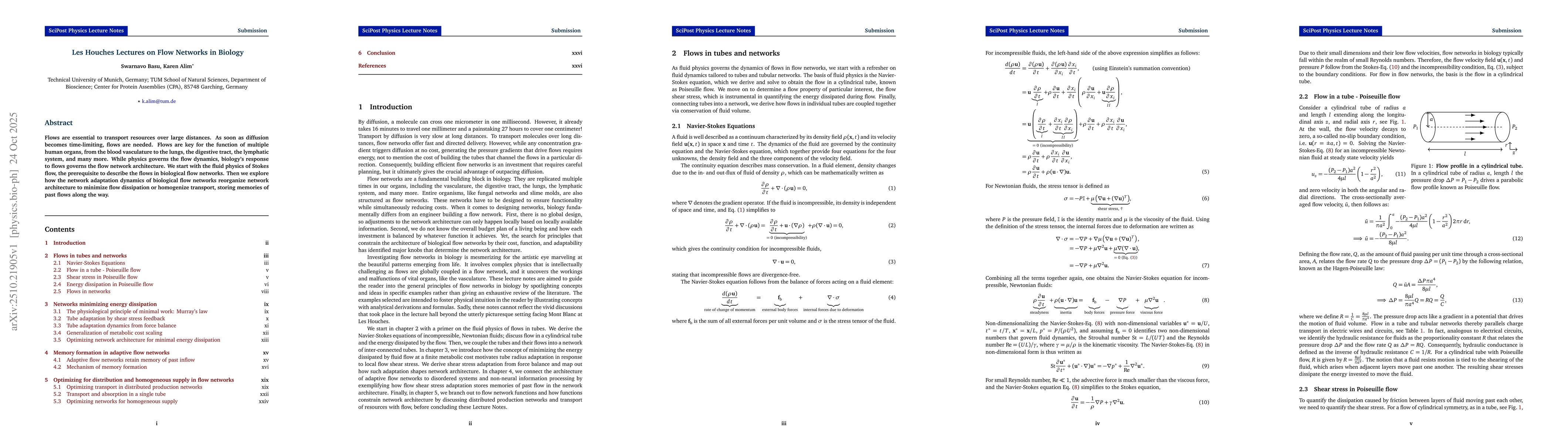 Thumbnail for Les Houches Lectures on Flow Networks in Biology