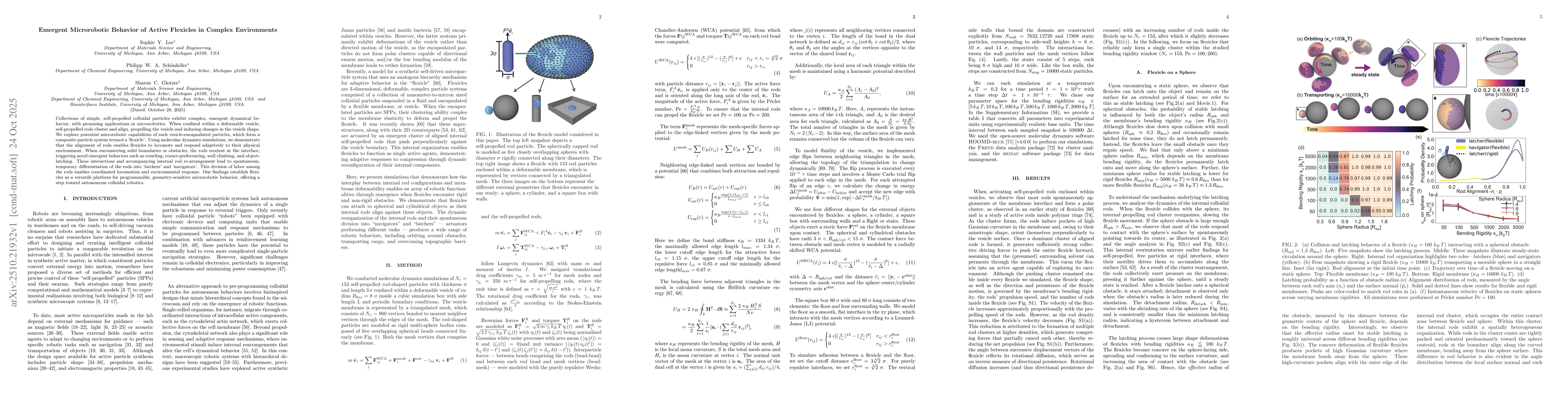 Thumbnail for Emergent Microrobotic Behavior of Active Flexicles in Complex
  Environments