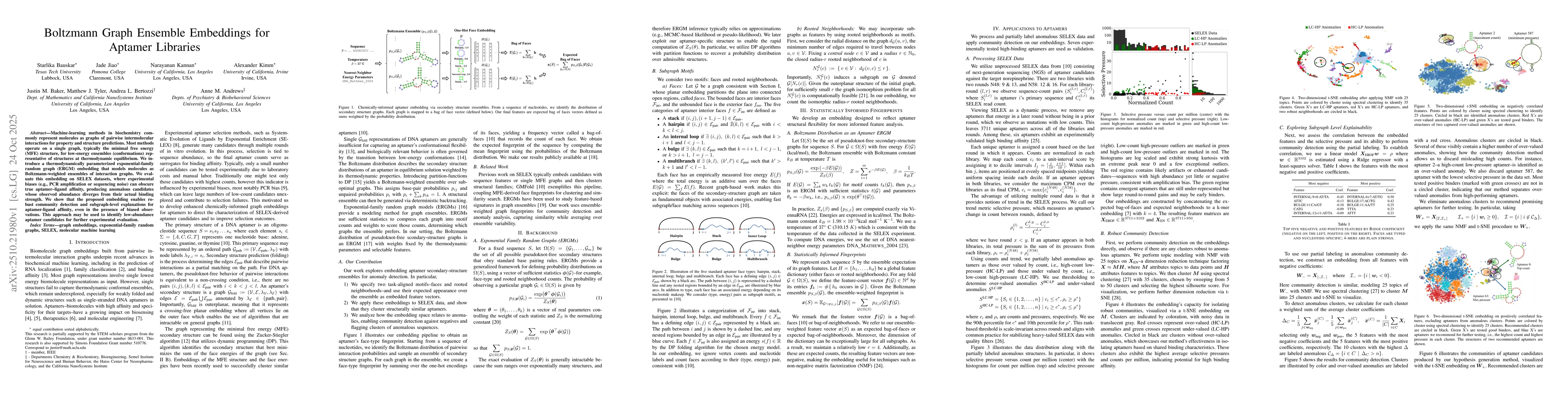 Thumbnail for Boltzmann Graph Ensemble Embeddings for Aptamer Libraries