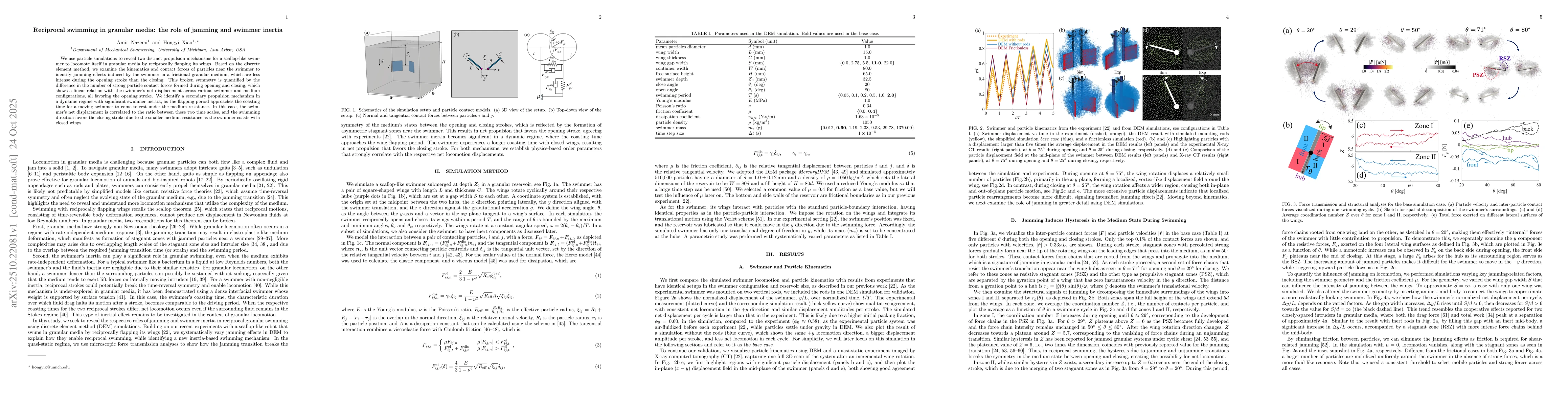 Thumbnail for Reciprocal swimming in granular media: the role of jamming and swimmer
  inertia