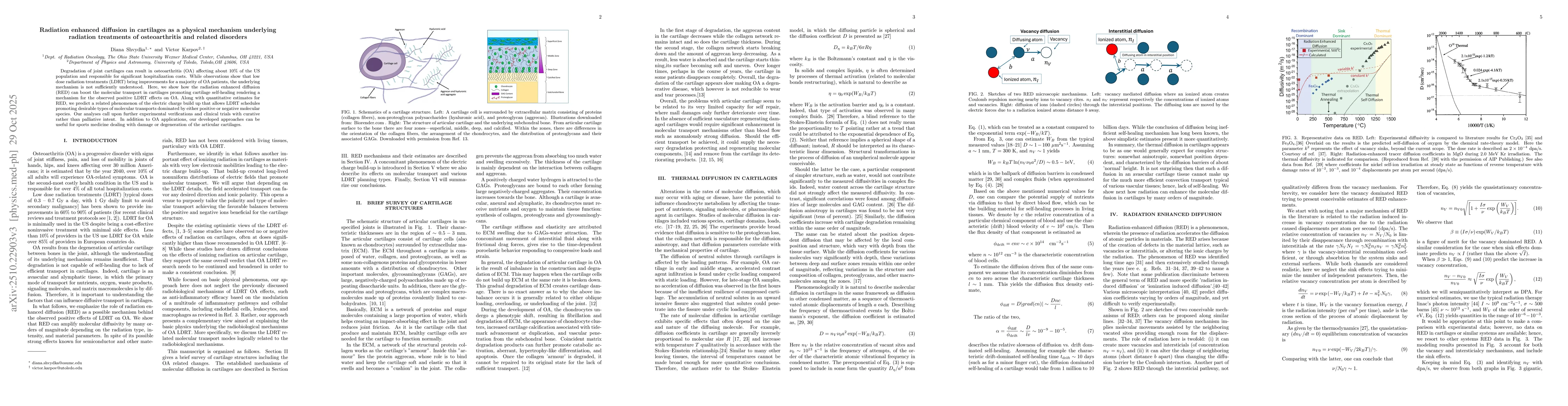 Thumbnail for Radiation enhanced diffusion in cartilages as a physical mechanism
  underlying radiation treatments of osteoarthritis and related disorders