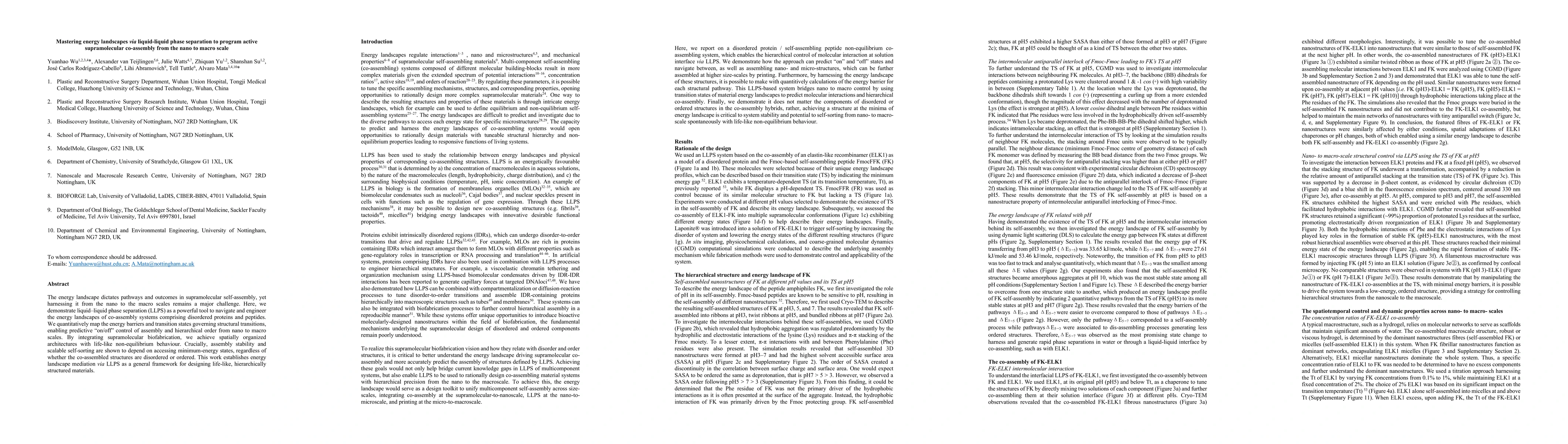 Thumbnail for Mastering energy landscapes via liquid liquid phase separation to
  program active supramolecular coassembly from the nano to macro scale