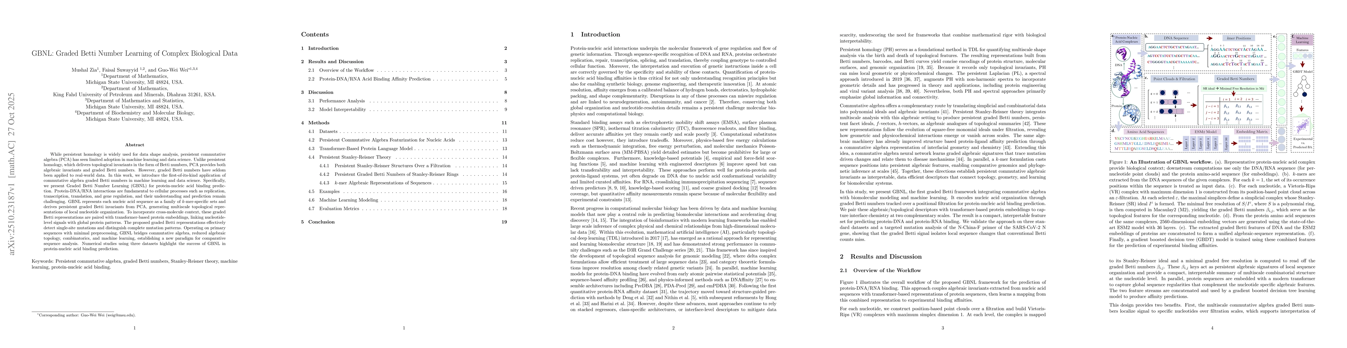 Thumbnail for GBNL: Graded Betti Number Learning of Complex Biological Data