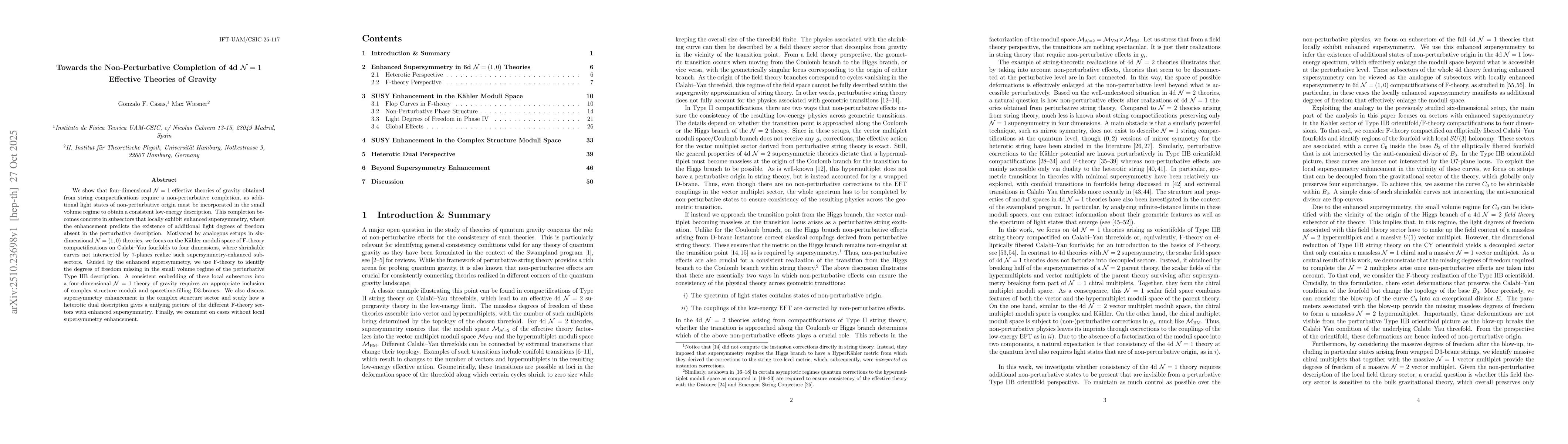 Thumbnail for Towards the Non-Perturbative Completion of 4d N=1 Effective Theories of
  Gravity