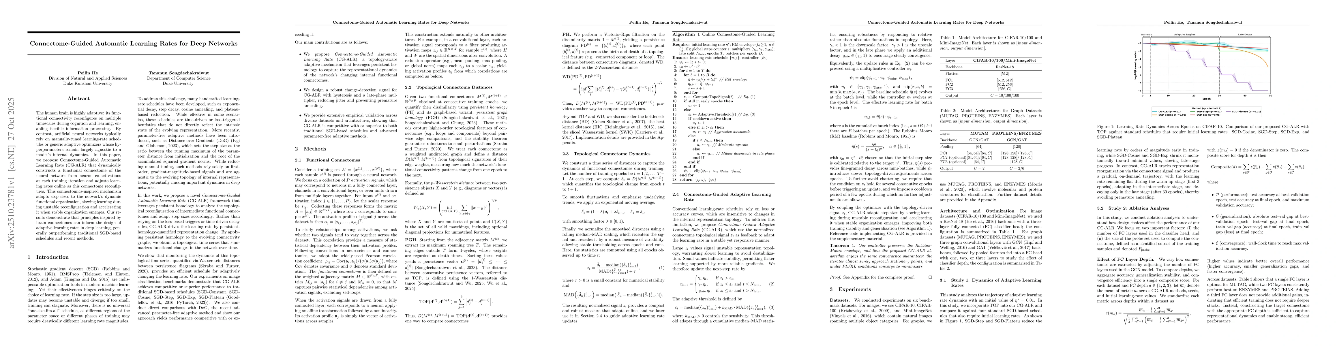 Thumbnail for Connectome-Guided Automatic Learning Rates for Deep Networks