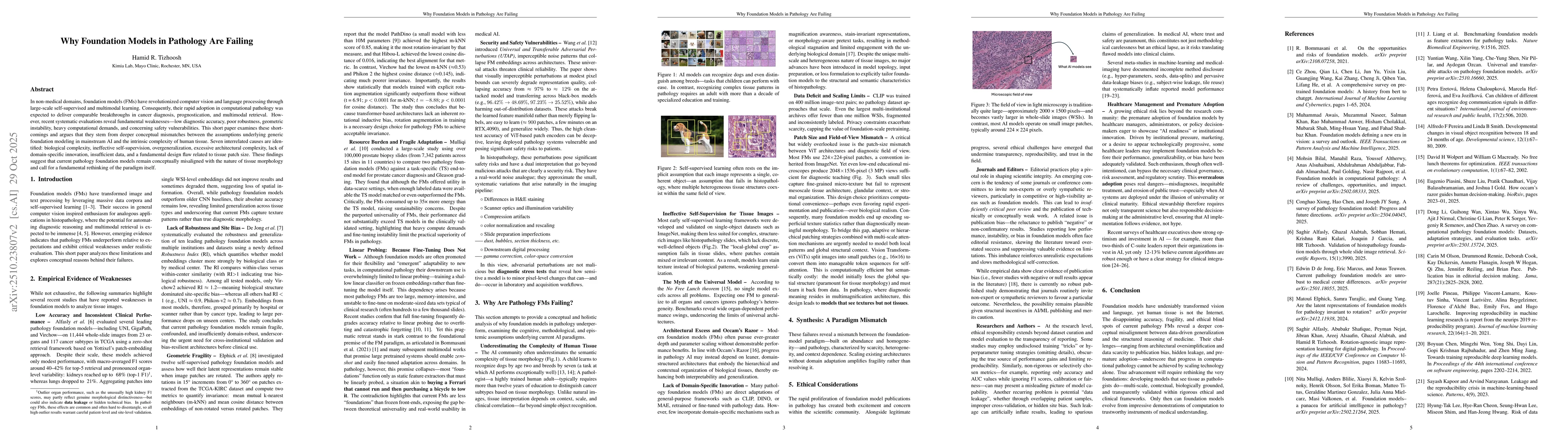 Thumbnail for Why Foundation Models in Pathology Are Failing