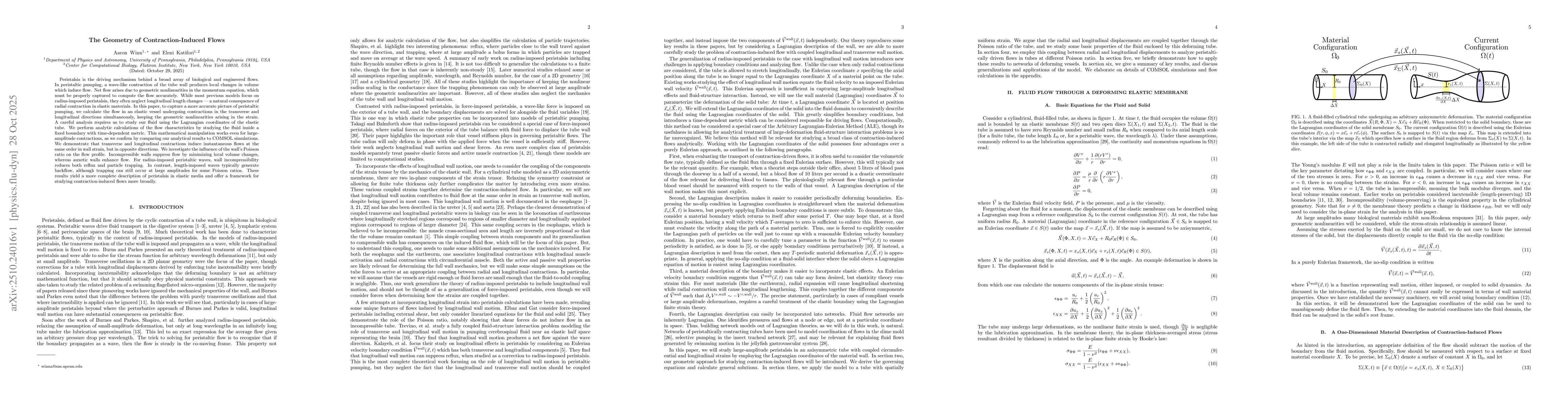 Thumbnail for The Geometry of Contraction-Induced Flows