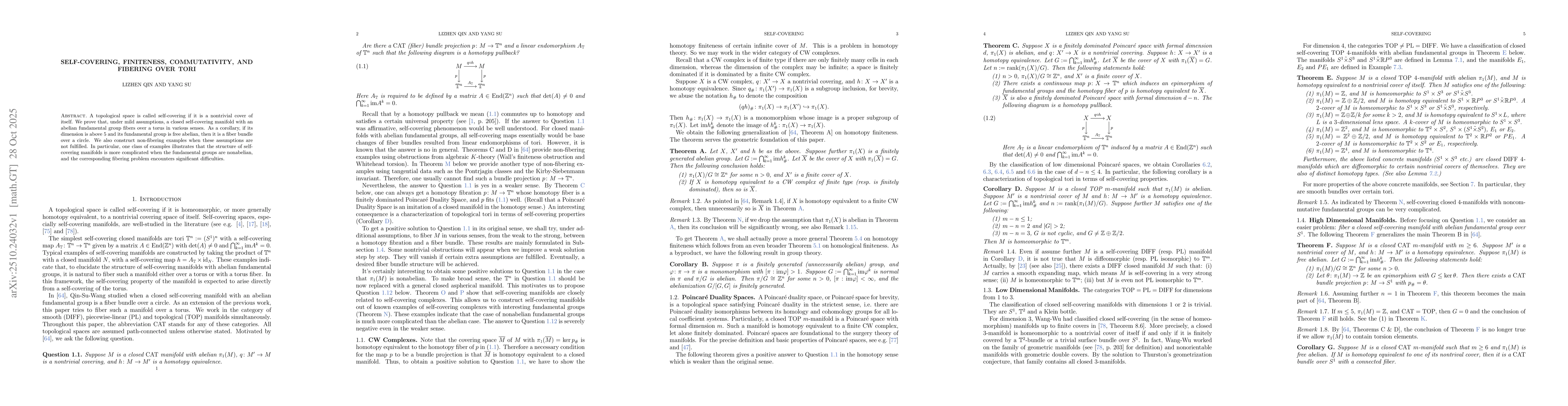 Thumbnail for Self-covering, finiteness, commutativity, and fibering over tori